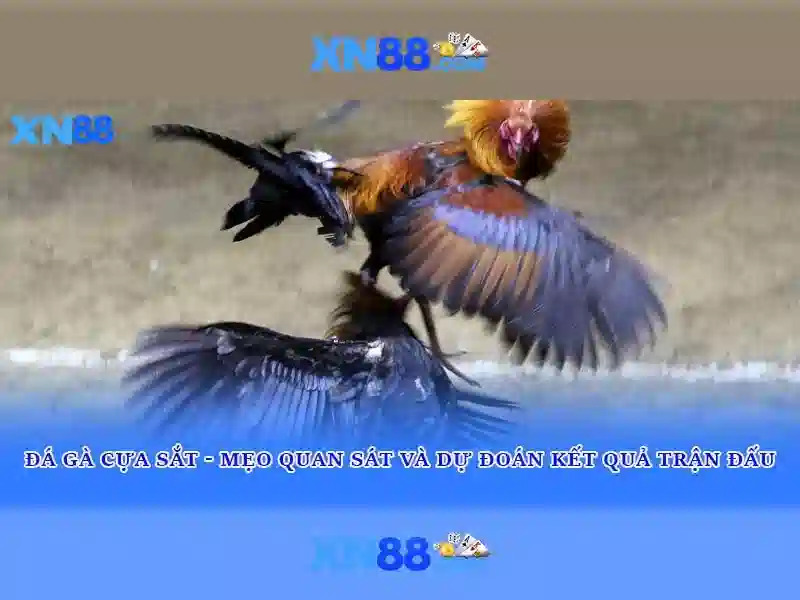 💎slot dragon legend💎