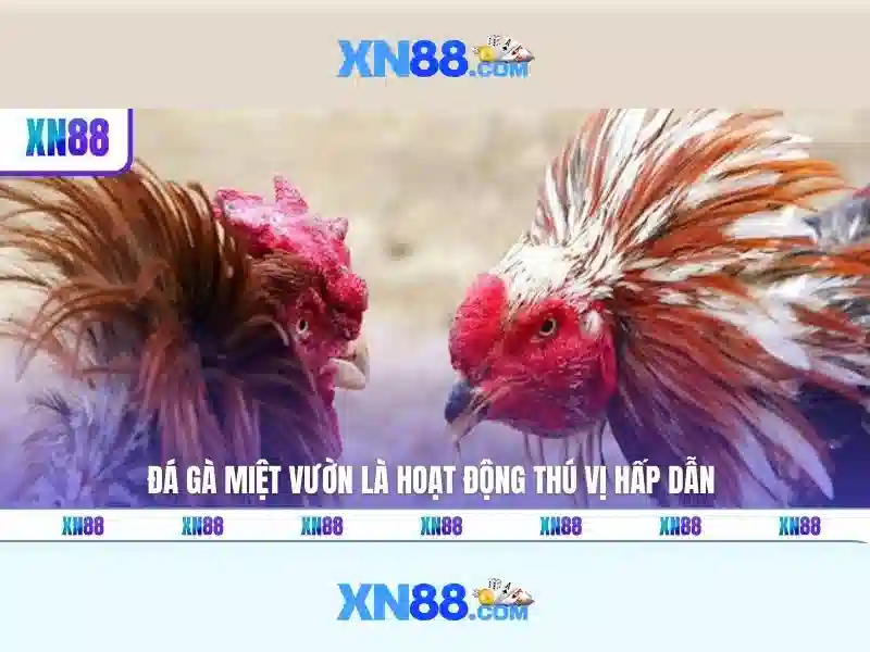 💎888slots download💎 - 888slots apk - 888slots