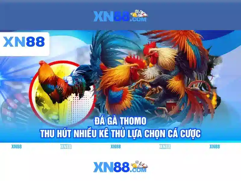 💎sin88 bắn cá💎 - sin88 apk - sin88 link nhà cái