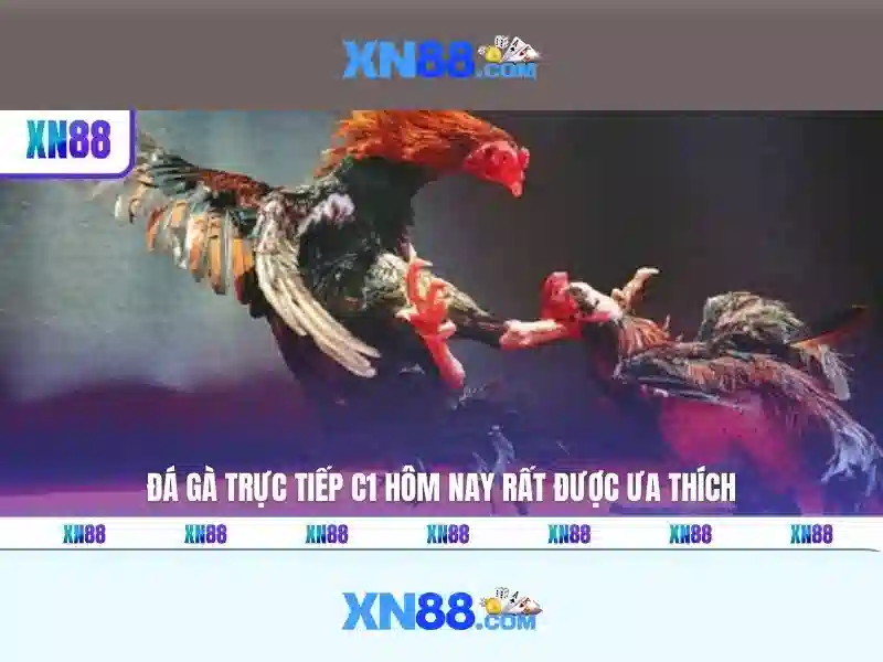 💎bài đánh giá về xn88💎