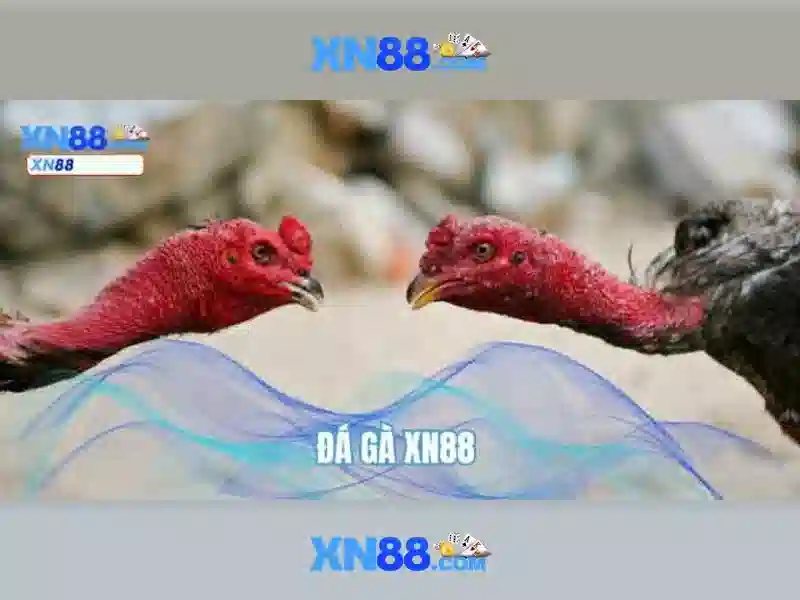 💎can you put a pcie x1 in a x16 slot💎