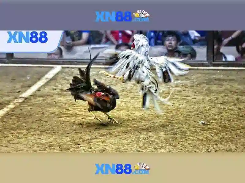 💎manclub manclub15 com💎 - manclub kiwi - đăng ký manclub