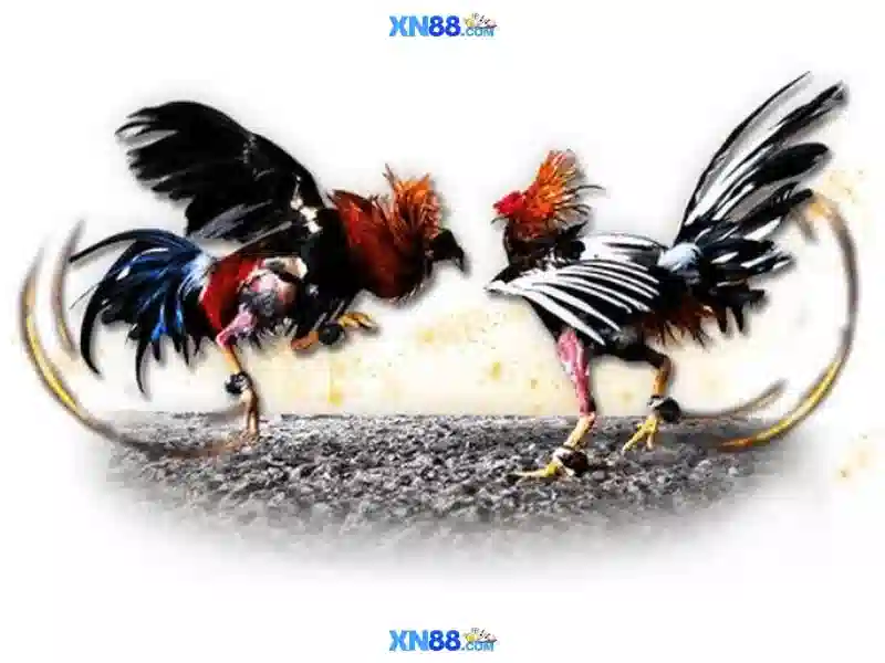 💎nhà cái uy tín bossnhacai💎