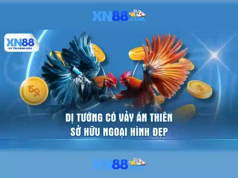 💎sin88 sin886 com💎 - sin88 ink - sin88 bets