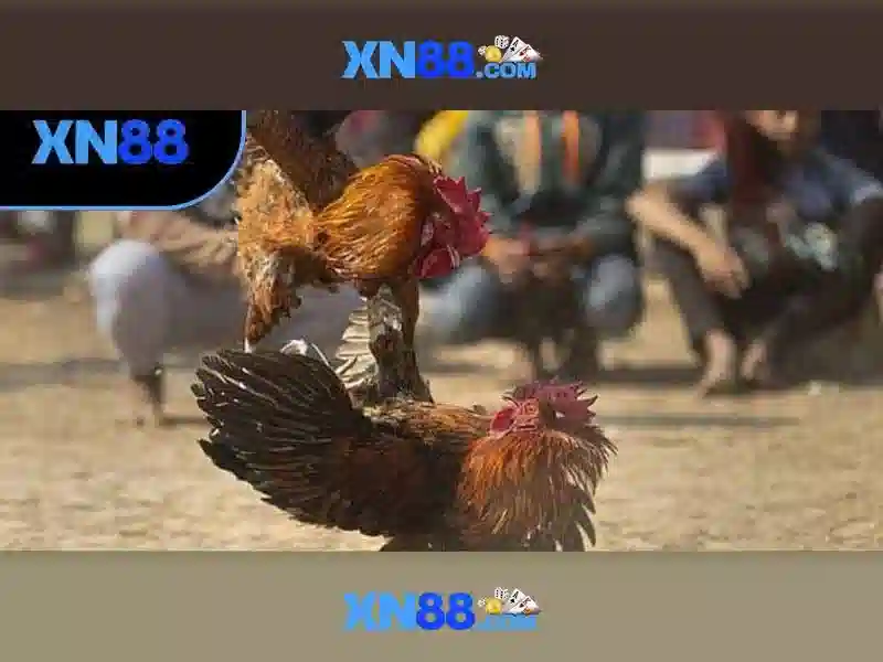 💎888slot marketing💎