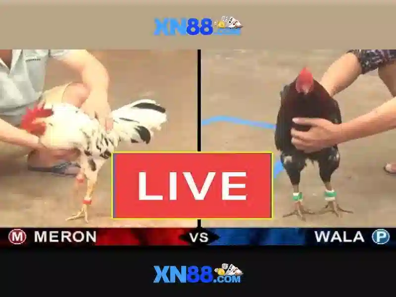 💎888 slot slot malaysia💎