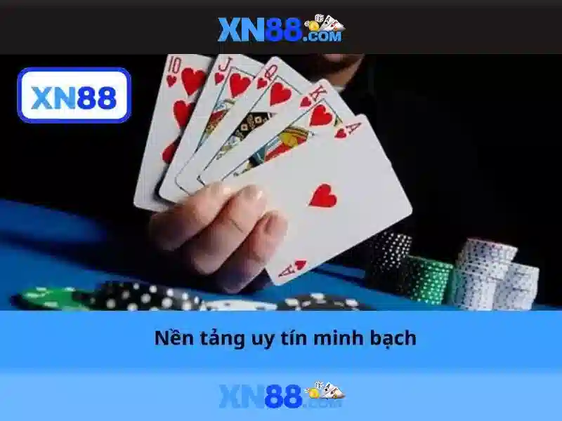 💎xn88 tang💎