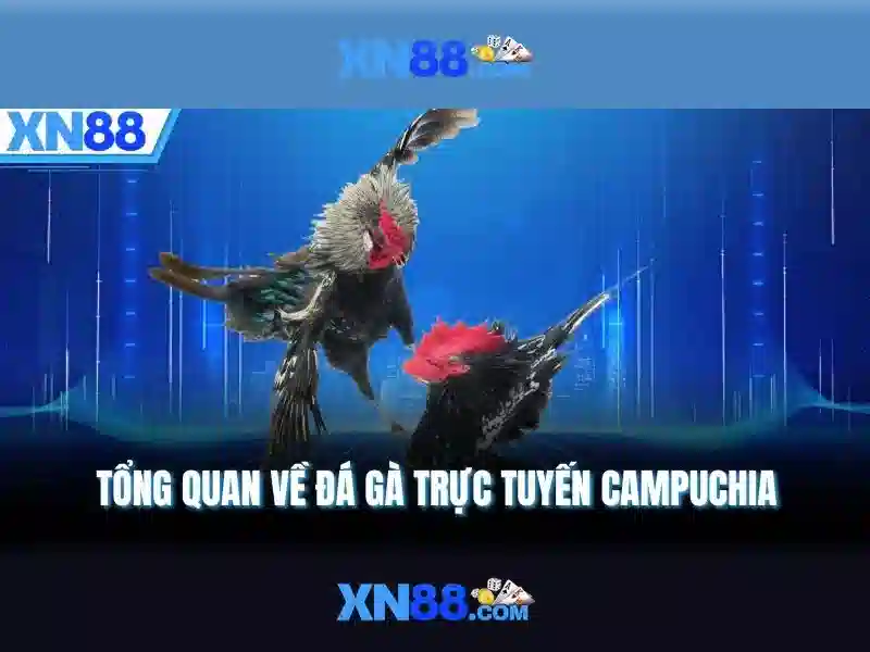 💎sepp van den berg xn88 slot💎