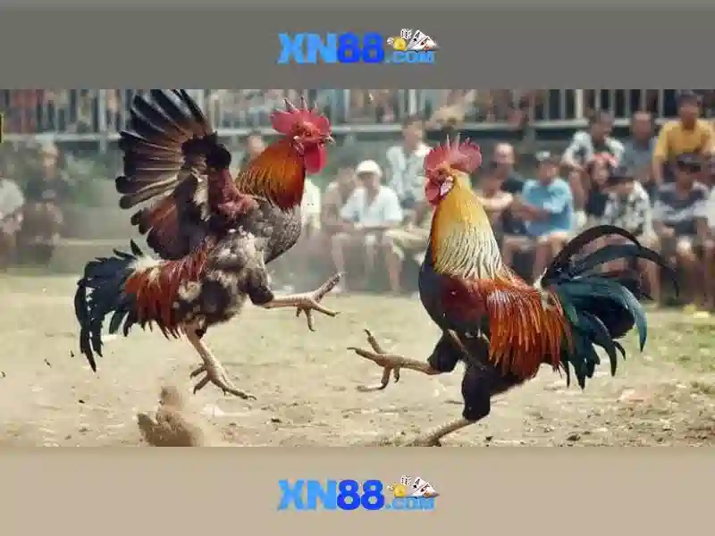 💎90 888 slot com login💎