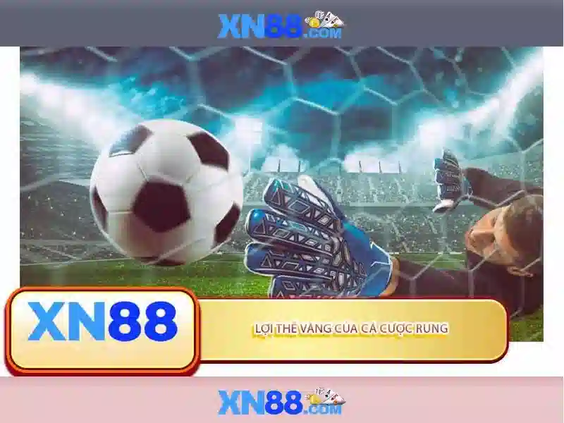 💎cách cài tùy chọn nhà phát triển💎