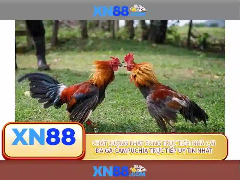 💎slot gratuiti live💎