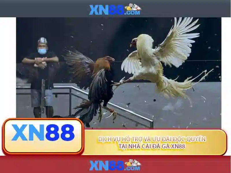 💎how to win at the casino slots💎