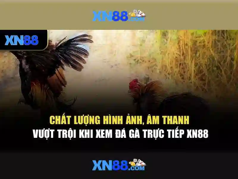 💎888slot bingo plus💎
