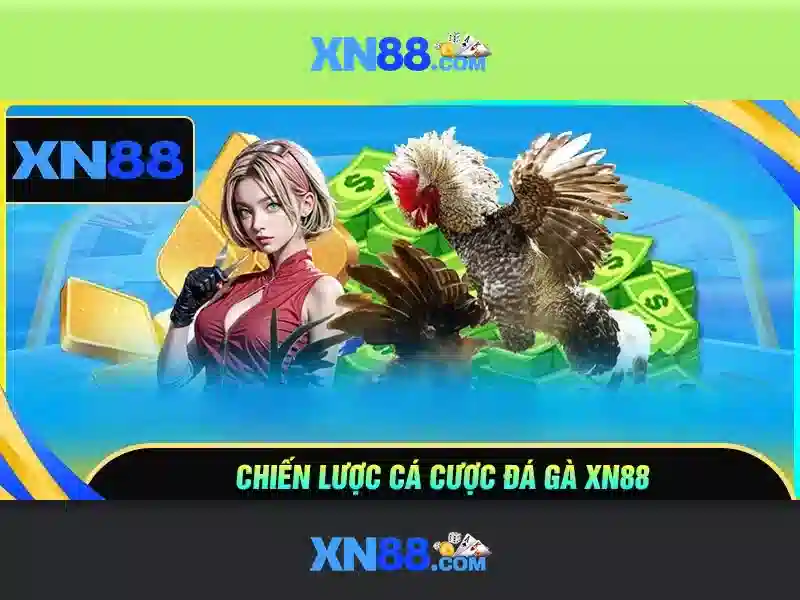 💎nhà cái d88💎