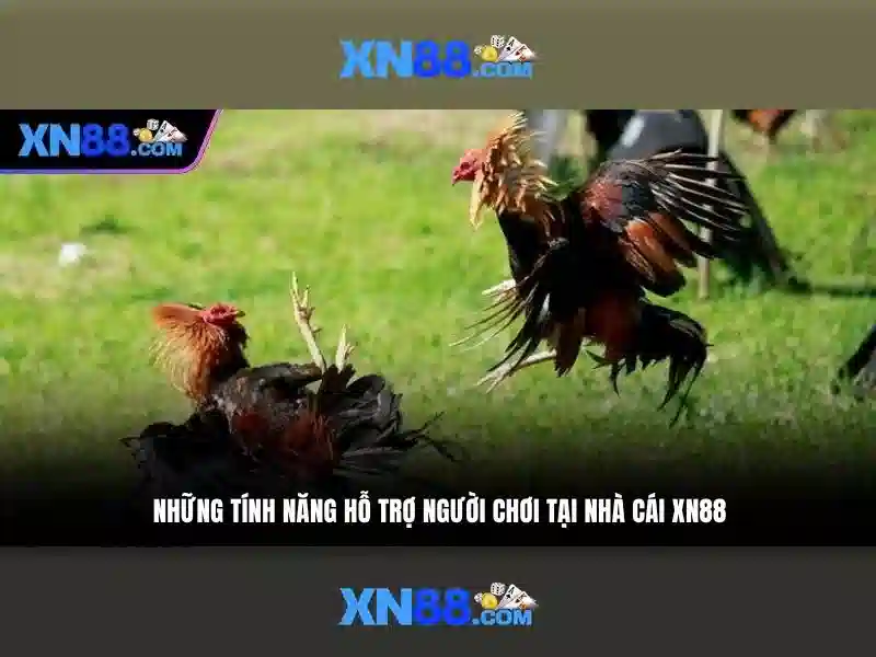 💎thinkpad t14 sim card slot💎