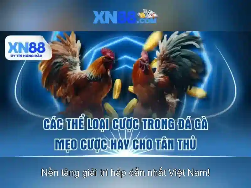 💎5699 nhà cái💎