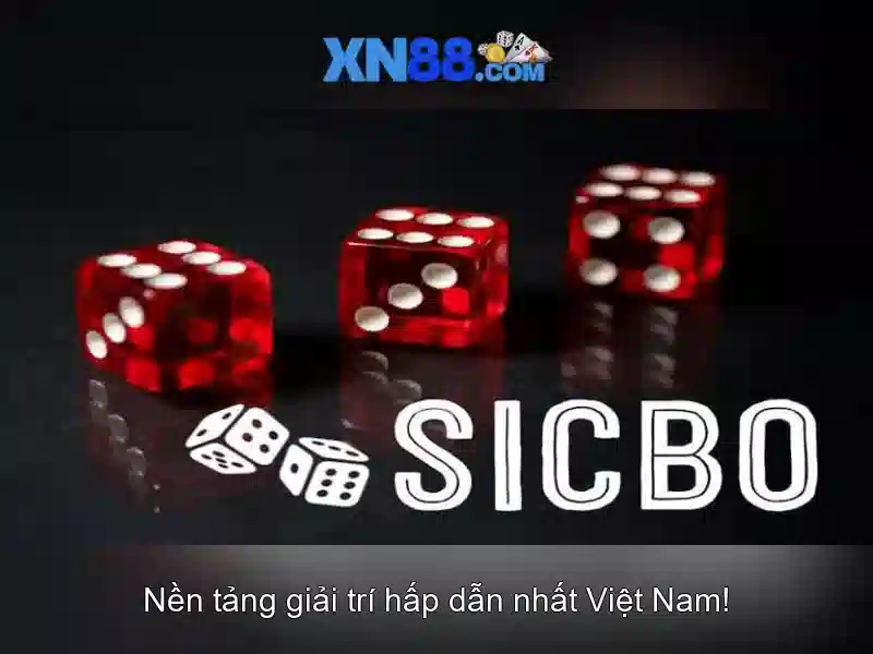 💎slot wallet 777com💎