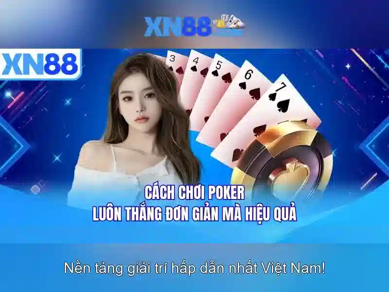 💎bài đánh giá về chợ bắc mỹ an💎