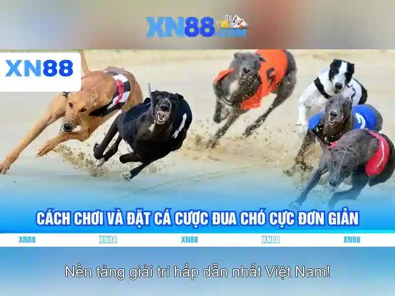 💎dok casino 888slot - lengbear poker slots💎