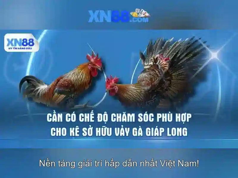 an toàn khi chơi Slot - XN88