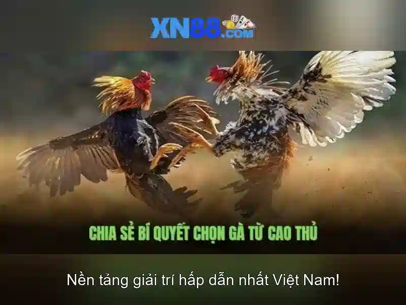 💎www hb88 com ph💎