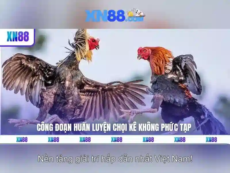 💎keo nha cai . bio💎