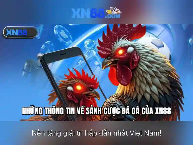 💎pirate queen 888 slot💎