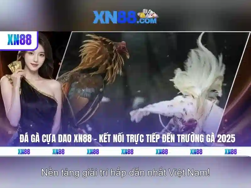 💎elf slots sports betting💎