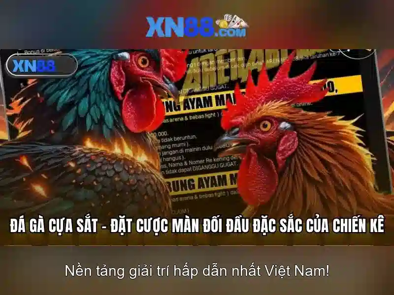 💎xn88 lodibet apk💎