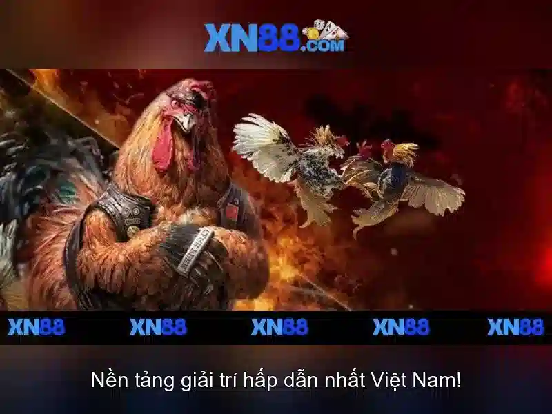 💎fun88-trang cá cược💎