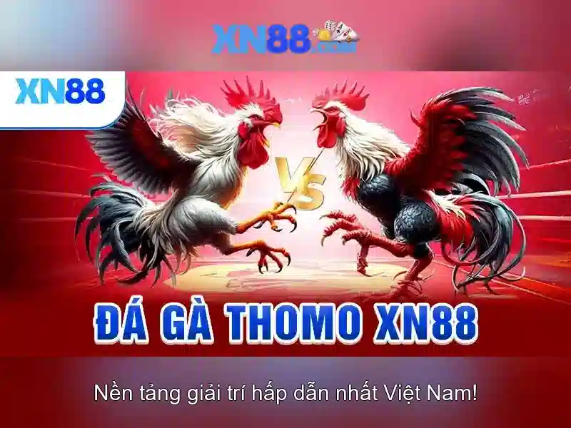 💎keo nhà cai euro💎