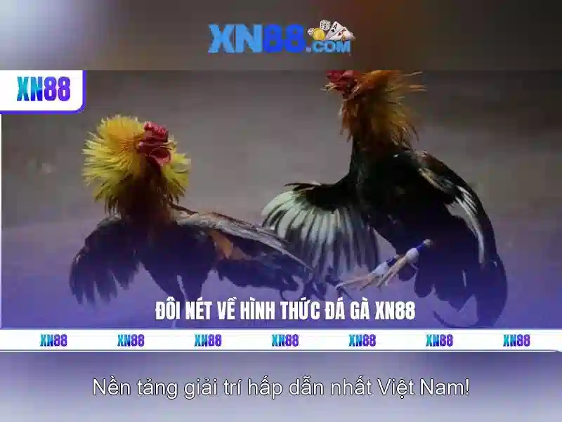 💎permatex 66b💎 - cd 66b pe - link dự phòng 66b