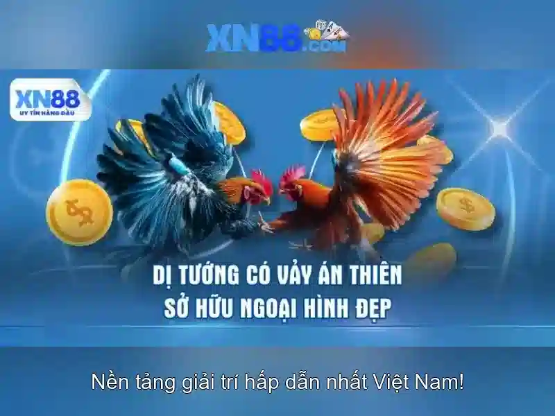 💎bsport bet - nhà cái bsports💎