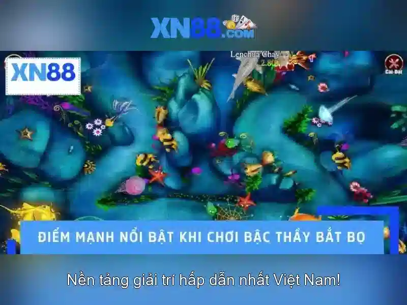 💎nhà cái soxo66💎