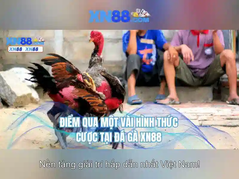 💎cuoc thi sang tac ca khuc 2016💎