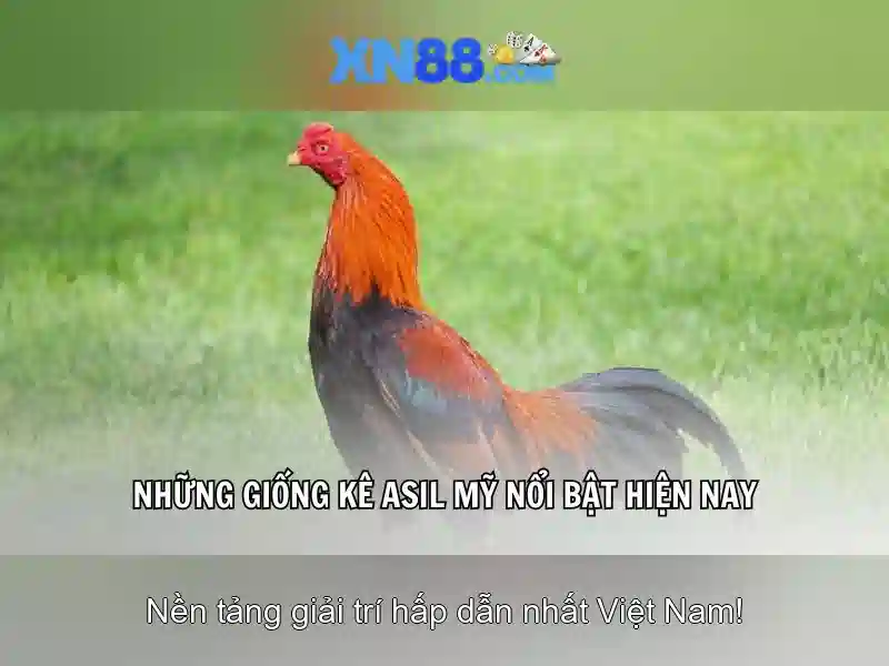 💎nhà cái nhà cái 33win01 33win68💎