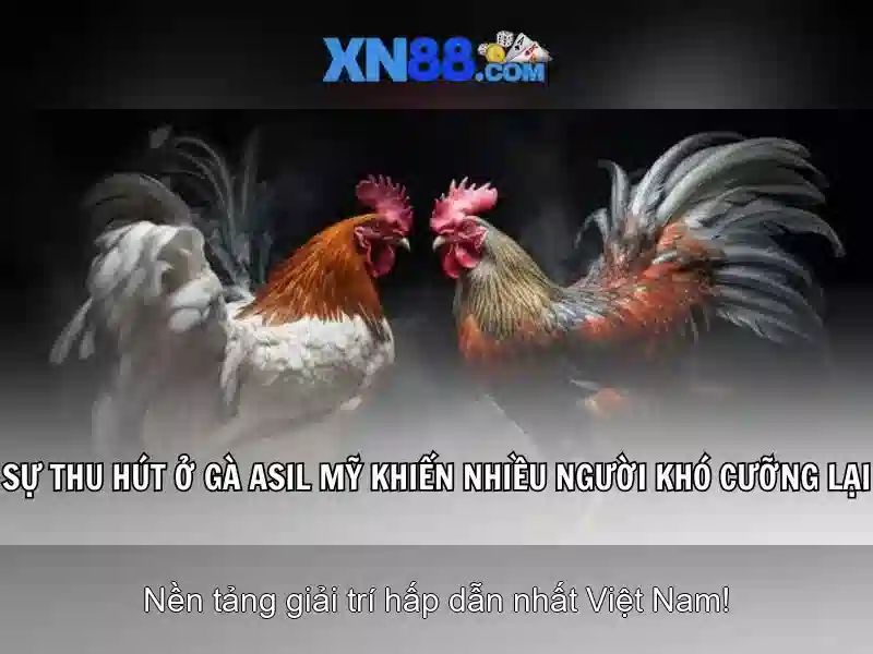  XN88 Win Slot - XN88