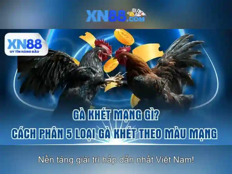 💎tiệm vàng bạc đá quý kim hoa 1 đánh giá💎