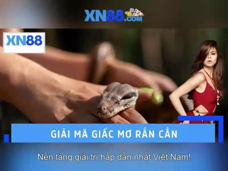 💎nhà xe quang dũng thanh hoá lào cai💎