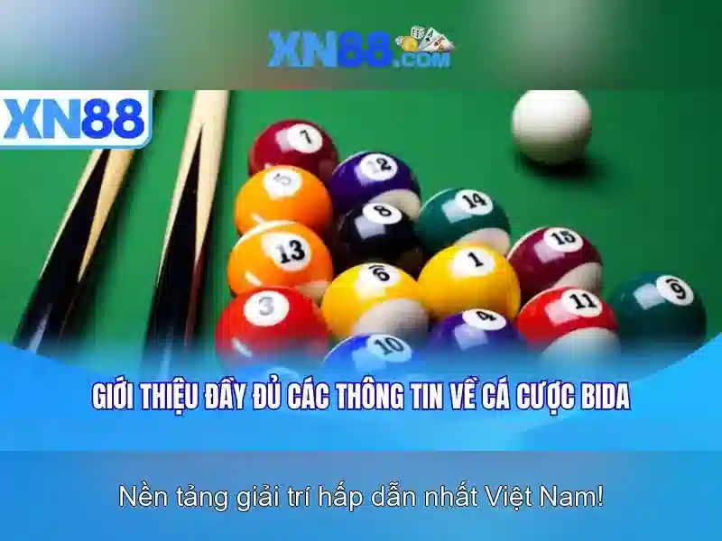 💎trang cá cược bóng đá chisholm💎