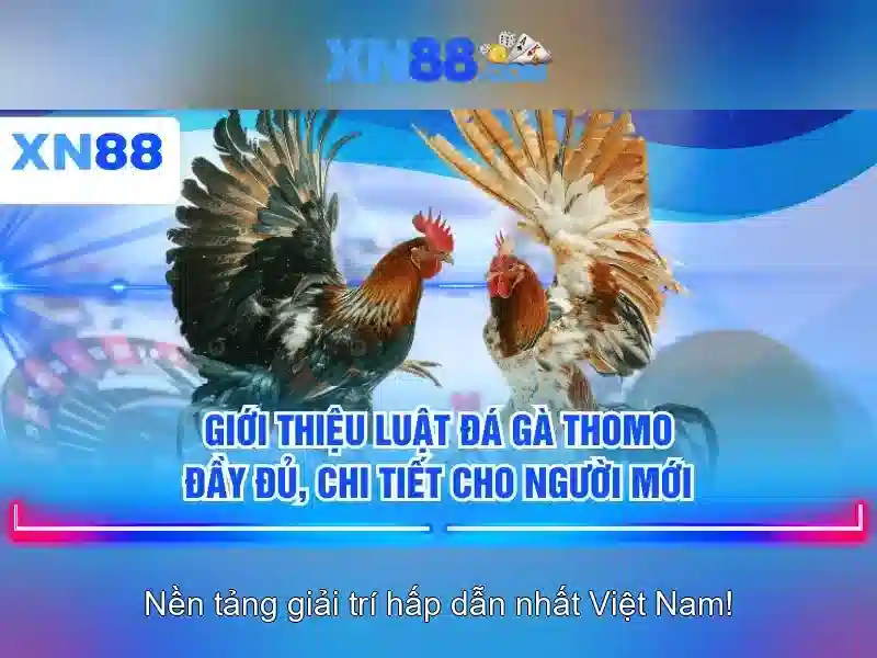 💎ceo của 888slot entertainment💎