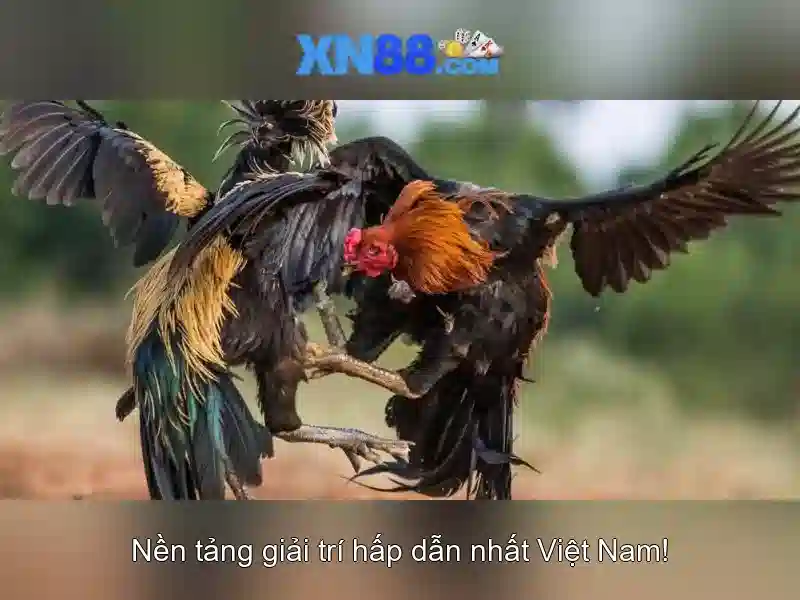 💎888 slot 6748💎