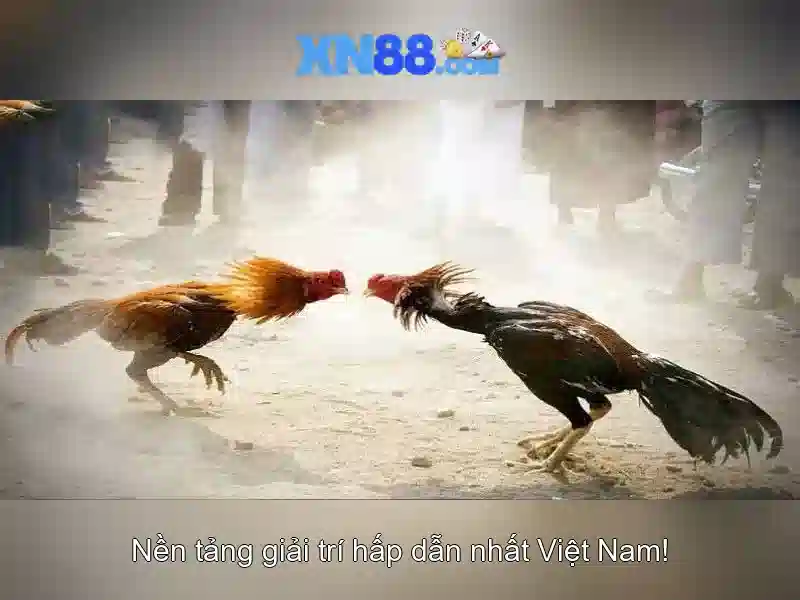 💎firework slots💎