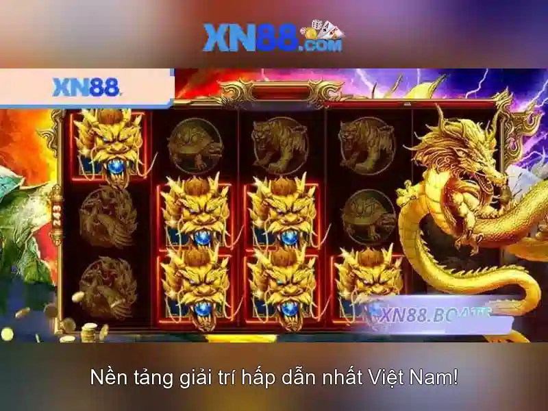 💎pirate queen 888slot💎