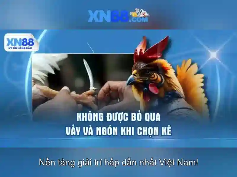 💎kèo cá cược bóng 88💎