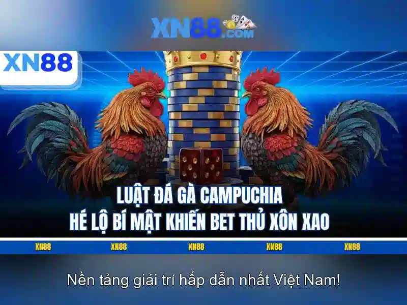 💎bếp từ đôi inverter tiết kiệm điện canzy cz-66b💎 - 66b phường 15 quận tân bình - bếp từ canzy cz-66b