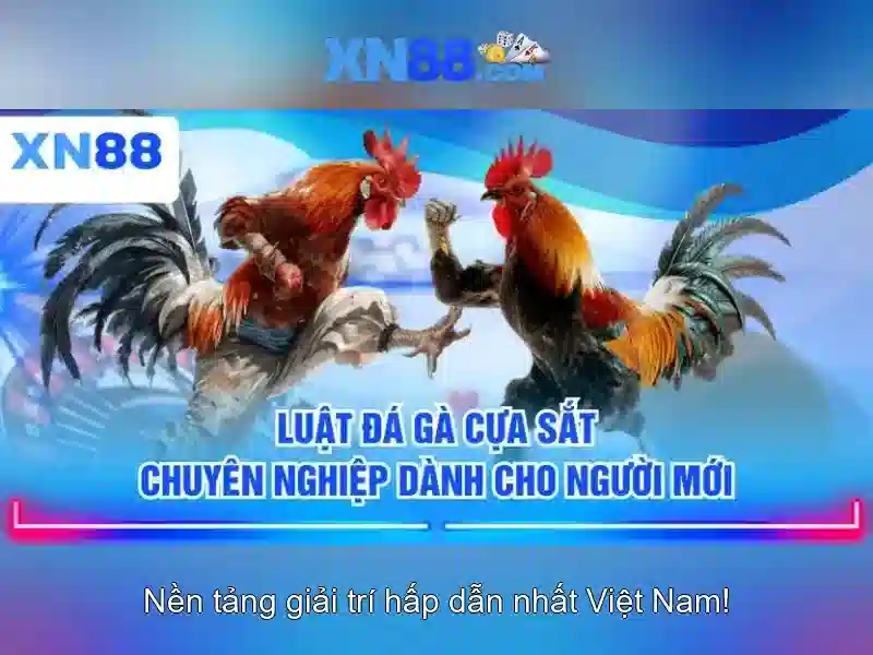 💎kèo nhà cái .vn💎