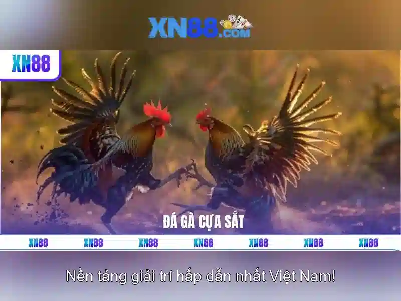 💎tỷ lệ kèo cá cược nhà cái hôm nay💎