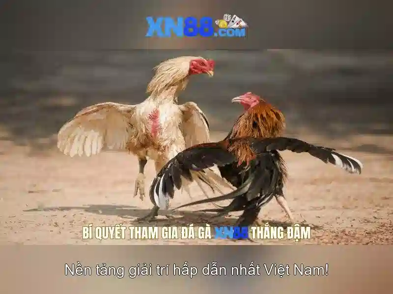 💎blackjack 88 slot💎