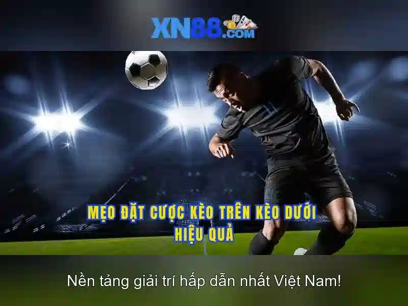 💎mơ đánh bạc đánh đề con gì💎